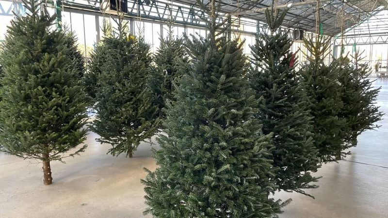 Check For Freshness Indicators