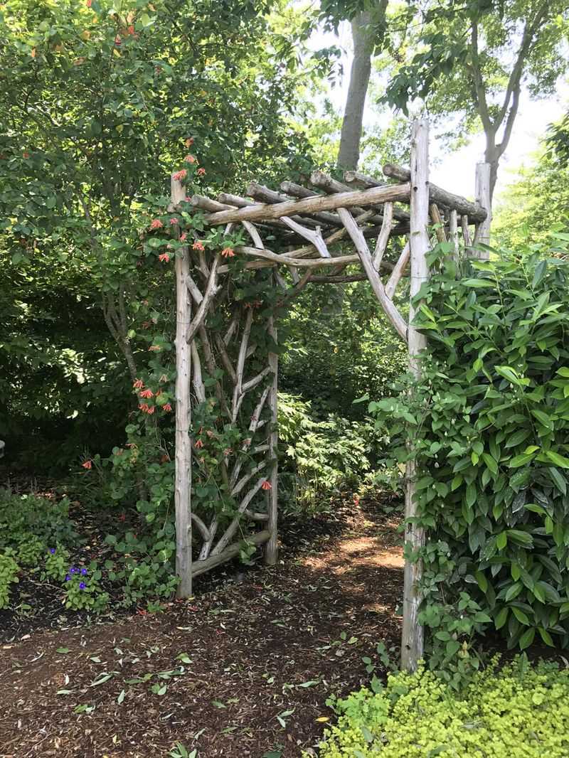 Rustic Branch Or Twig Trellises