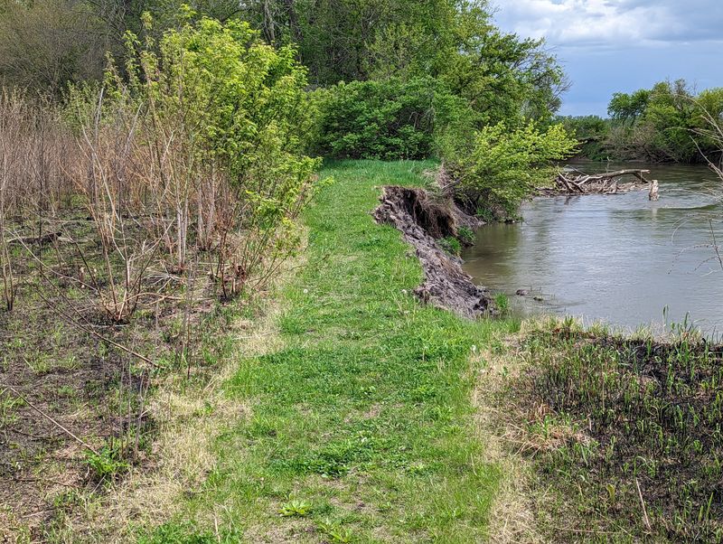 Skunk River Lowlands at Ames