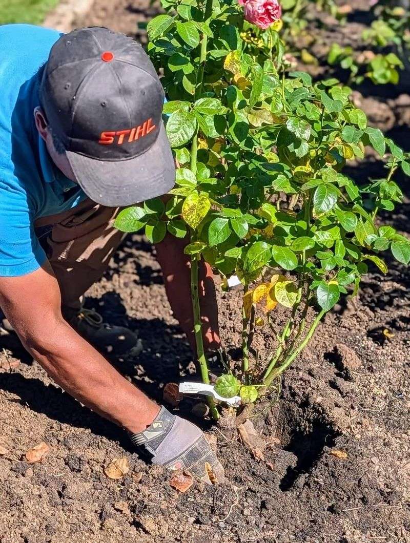 Soil Enrichment Practices Are Boosting Bloom Complexity
