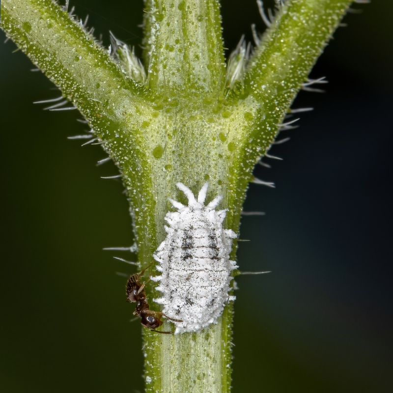 Recognizing The Early Warning Signs