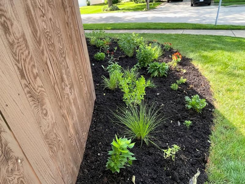 Misunderstanding Washington's Rainy Climate