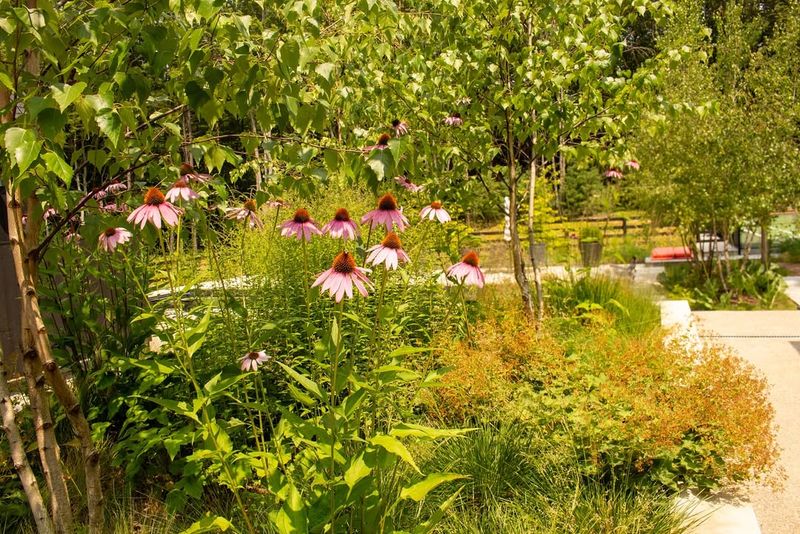 Incredible Biodiversity In One Location