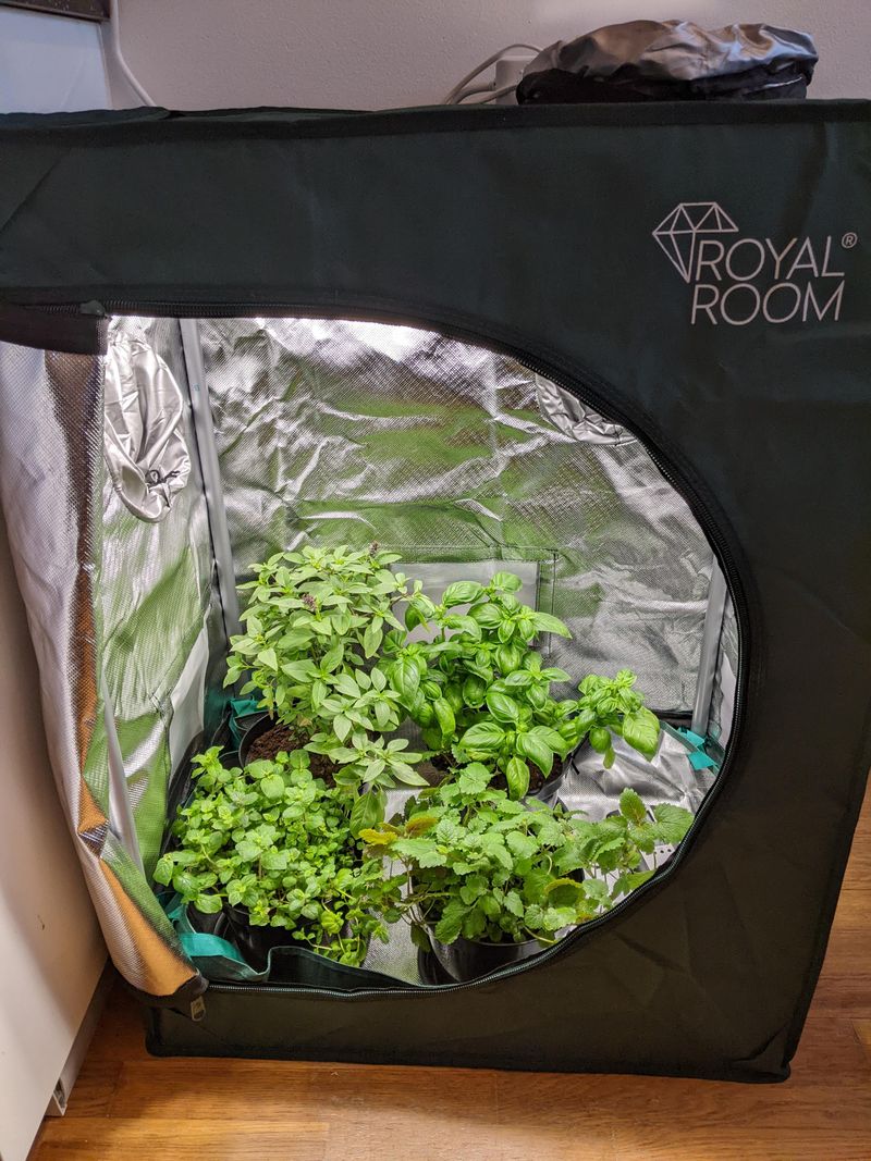 Boost Humidity Around Your Herbs