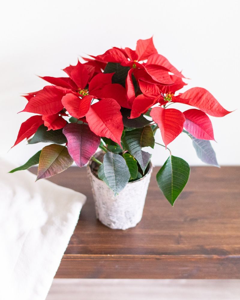 Avoid Cold Drafts from Windows and Doors