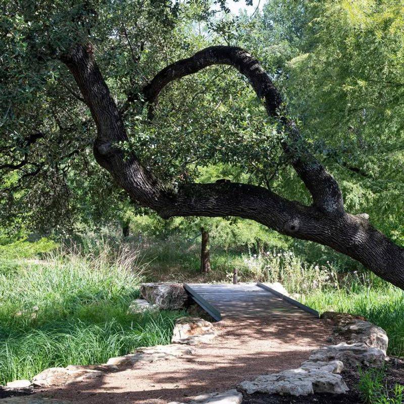 Property Values Increase With Attractive Native Landscapes