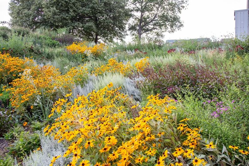 Seasonal Transformations Provide Constant Interest