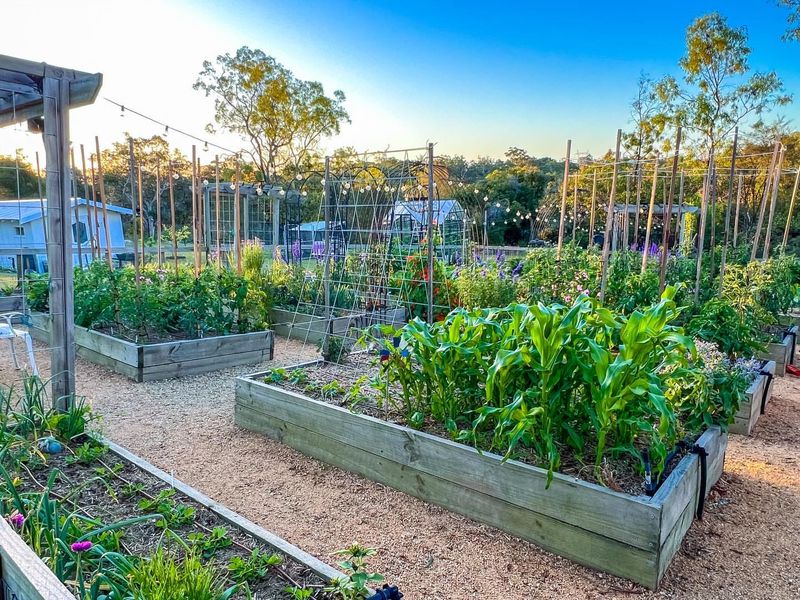 Chemical Fertilizers Become Unnecessary