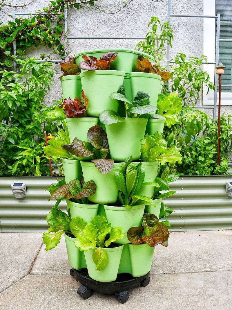 Year-Round Growing Season Advantage