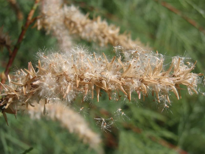 Fire Danger Increases Dramatically