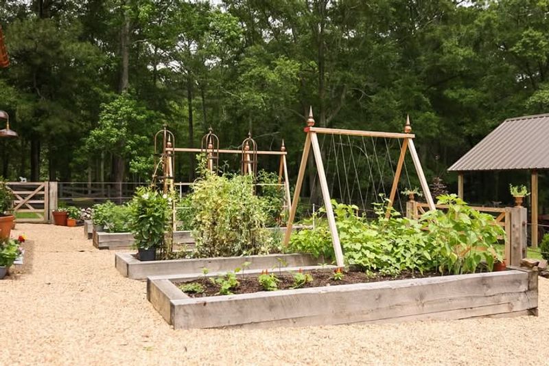 Grow Vegetables in Raised Beds