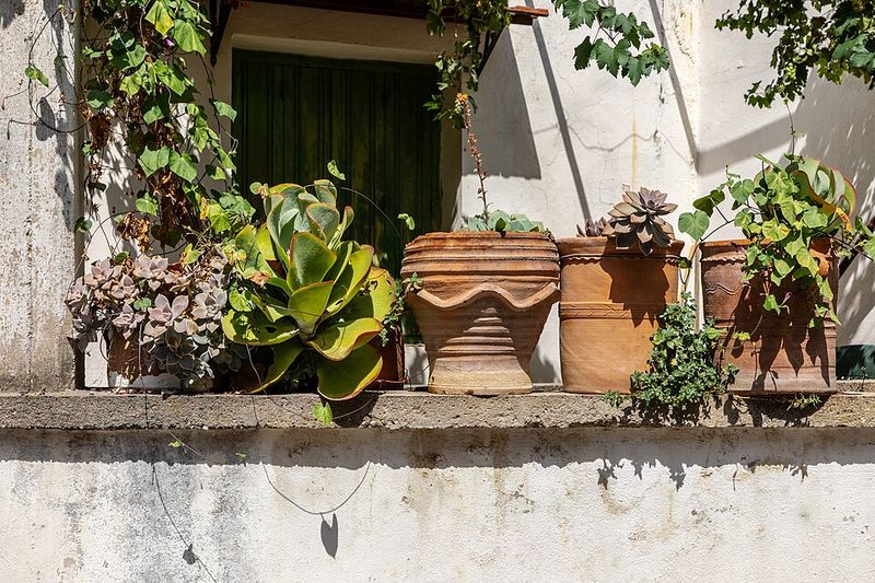 Decorative Container Groupings