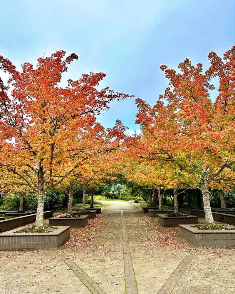 Affordable Admission Makes Beauty Accessible To Everyone