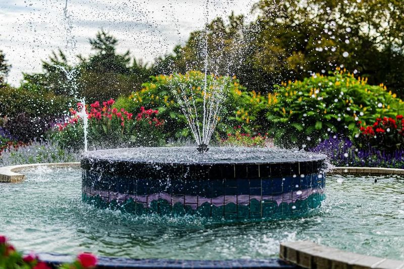 Educational Programs Teach Gardening Skills To Everyone