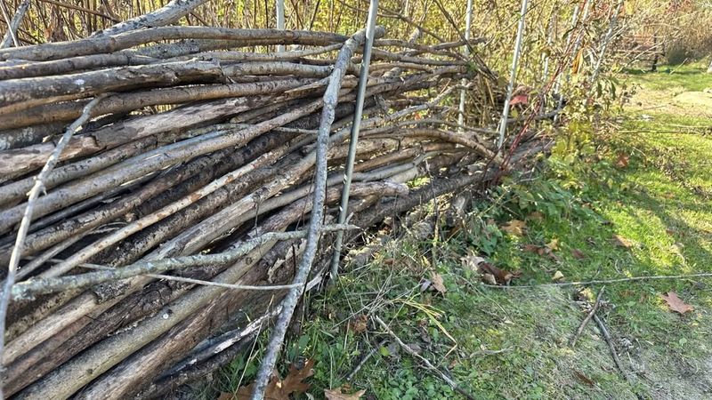 Brush Piles And Log Arrangements