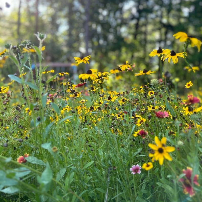 Be Patient During Germination