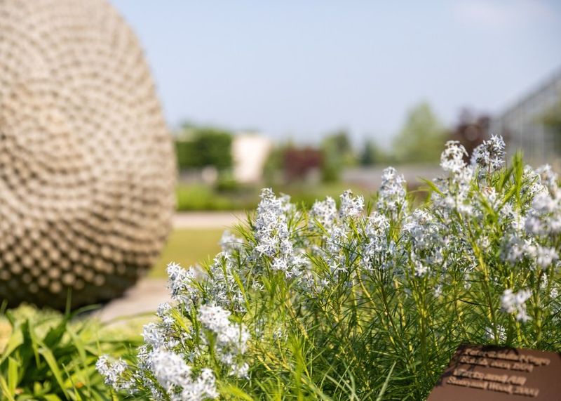 Lower Maintenance Costs Add Up Over Time