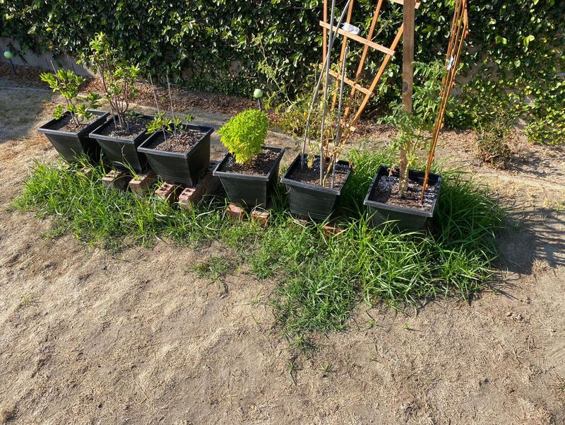 Elevate Containers Off Cold Ground