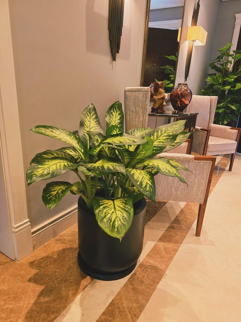 Bring Potted Plants Indoors Or Against The House