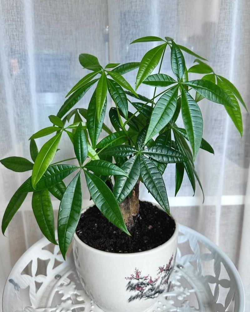 Adjust Frequency Based On Seasonal Light Changes