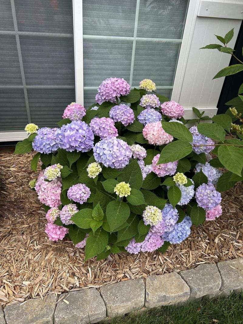 Mulch Decomposition Affects Acidity Levels