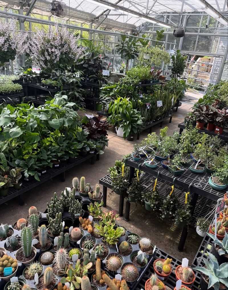 Customer Demand Starts Earlier Every Year