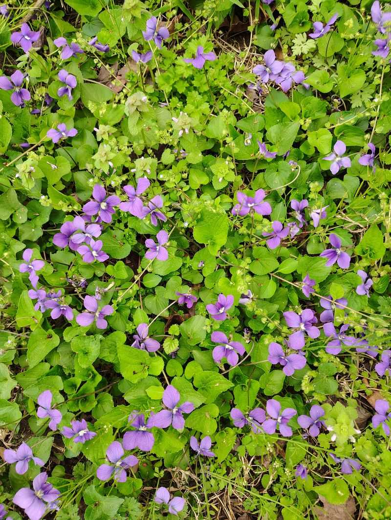 Chemical Use Drops To Nearly Zero