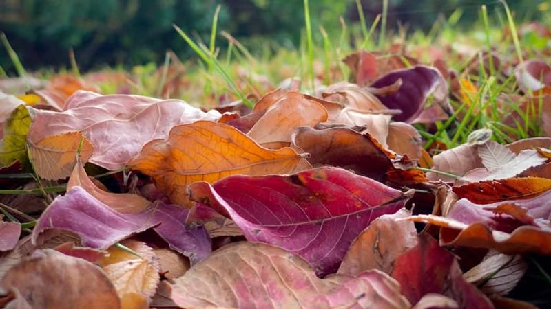 Soil Erosion Prevention Protects Valuable Topsoil
