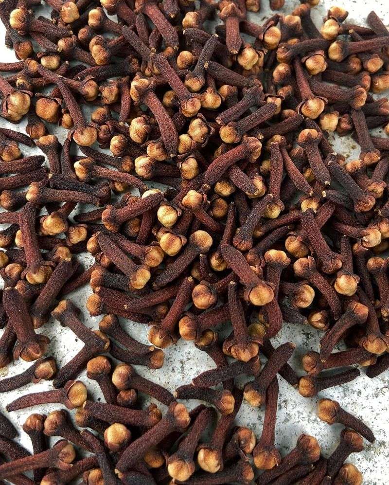 How To Harvest And Use Your Homegrown Cloves