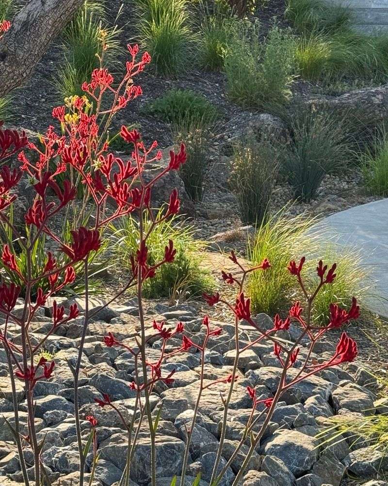 Understanding California's Updated Defensible Space Requirements