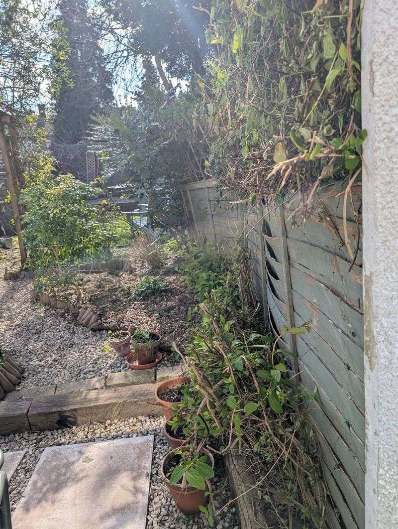 Ownership Of Crops Depends On Root Location