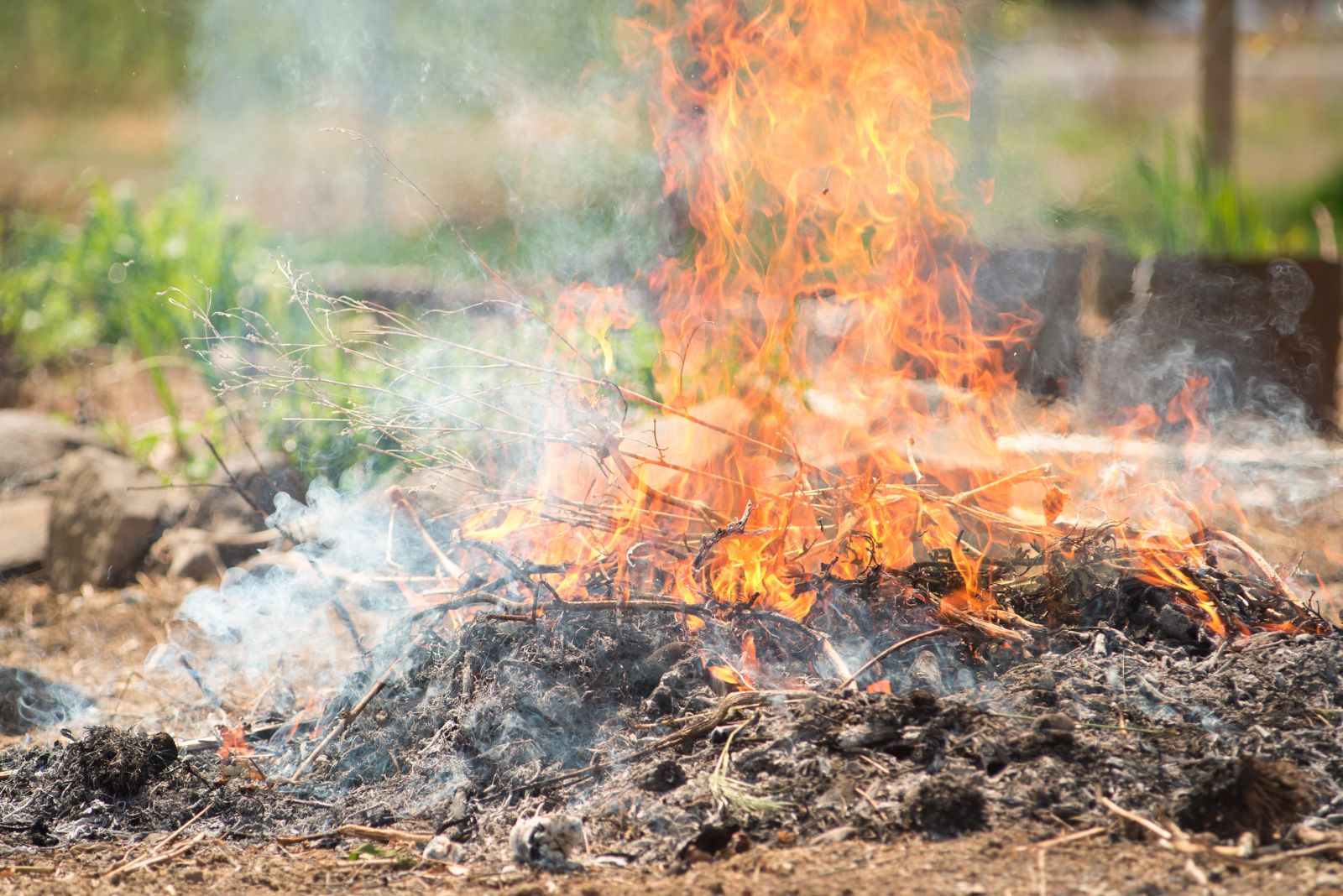 What Connecticut Gardeners Should Know About Burning Yard Waste Near A Property Line