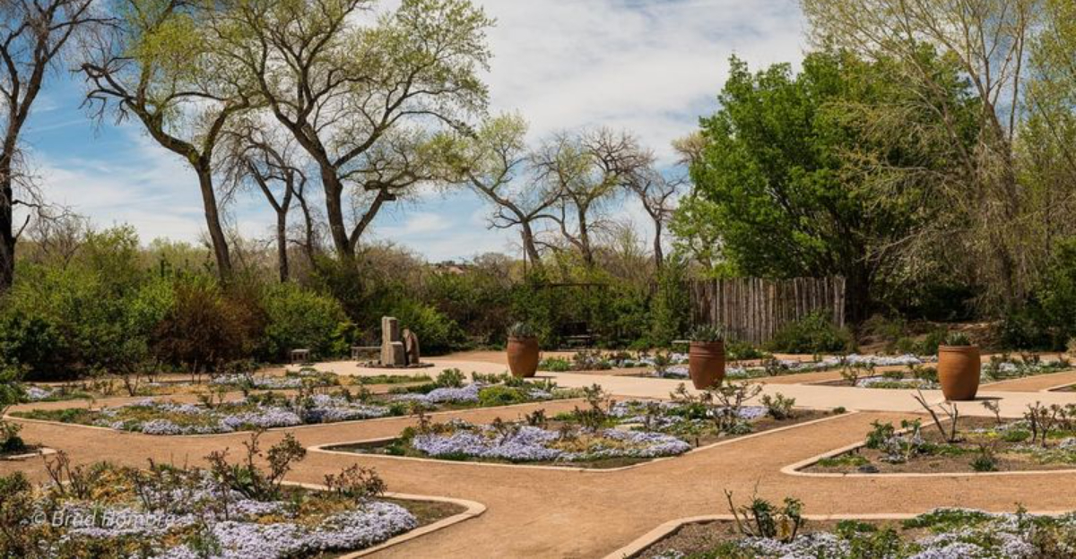 ABQ BioPark Botanic Garden (featured image)