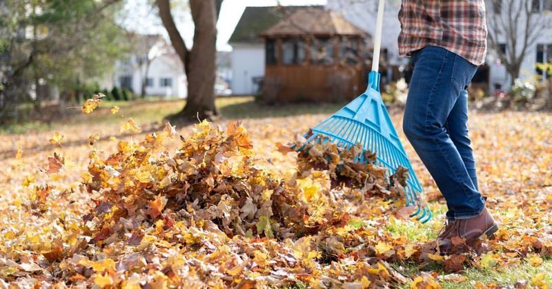 Property Owners Must Maintain Their Own Land
