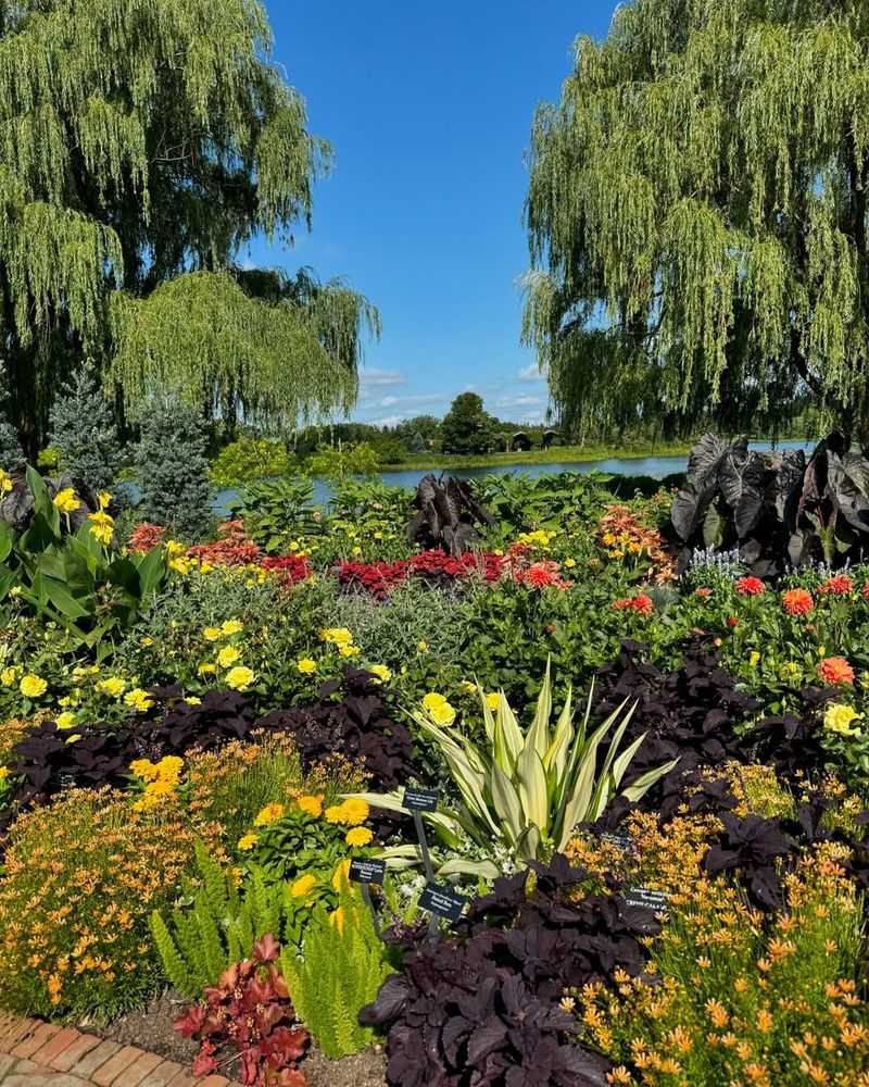 World-Class Plant Collections From Every Continent