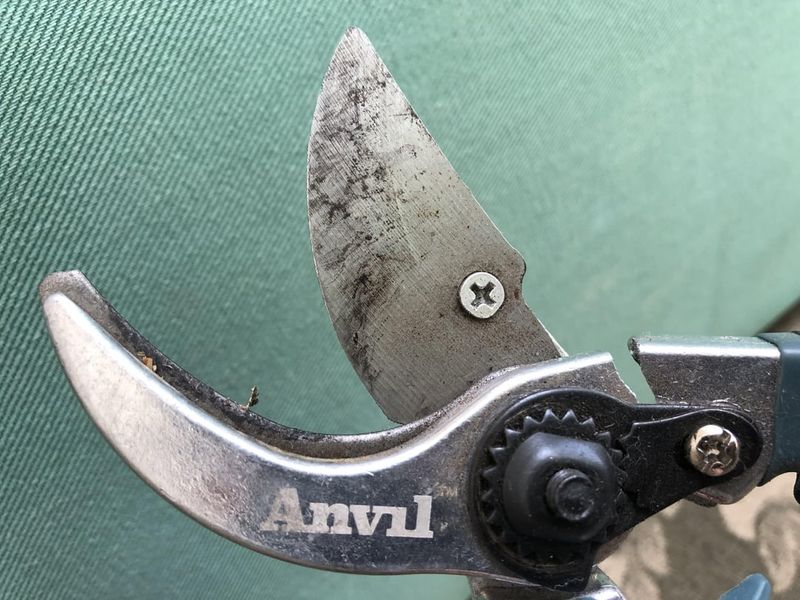 Blade Types Make A Significant Difference In Performance