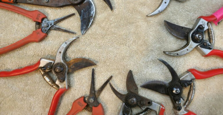pruning shears