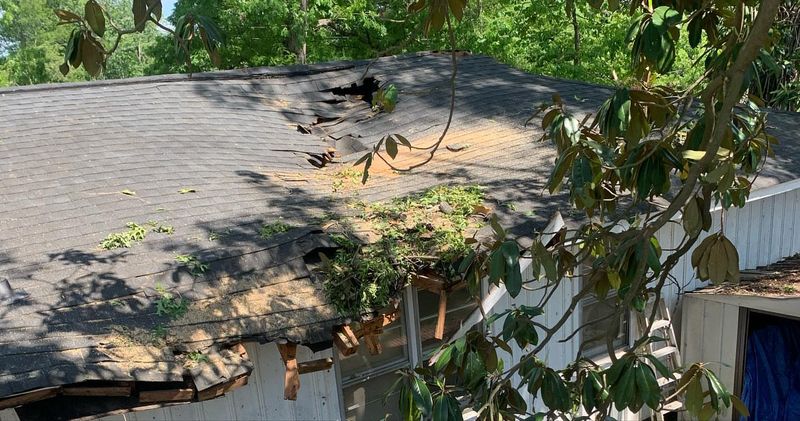 Texas Follows The Common Enemy Doctrine For Natural Conditions