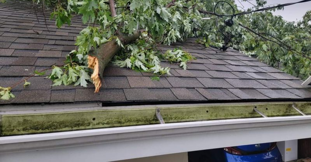 What Texas Law Says About A Neighbor’s Fallen Branch And Property Damage