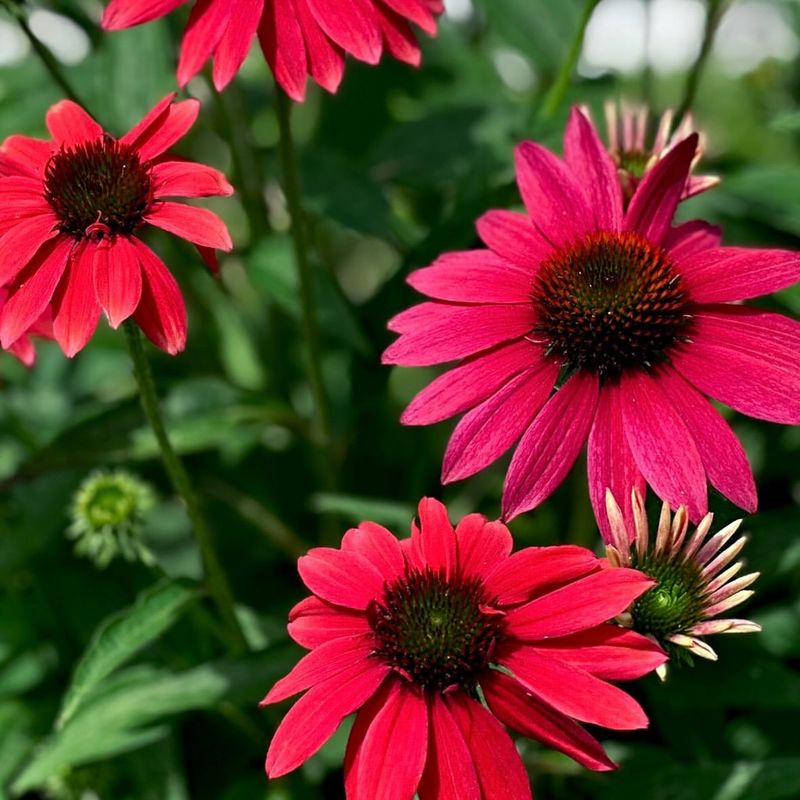 What To Do In Late Winter Instead