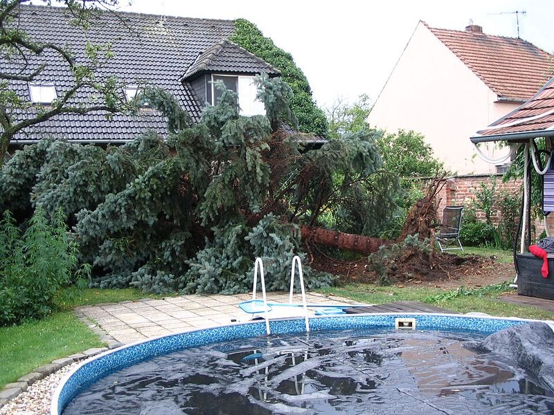 When You Might Be Liable For Damages