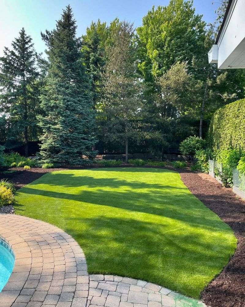 Perfectly Manicured Lawn