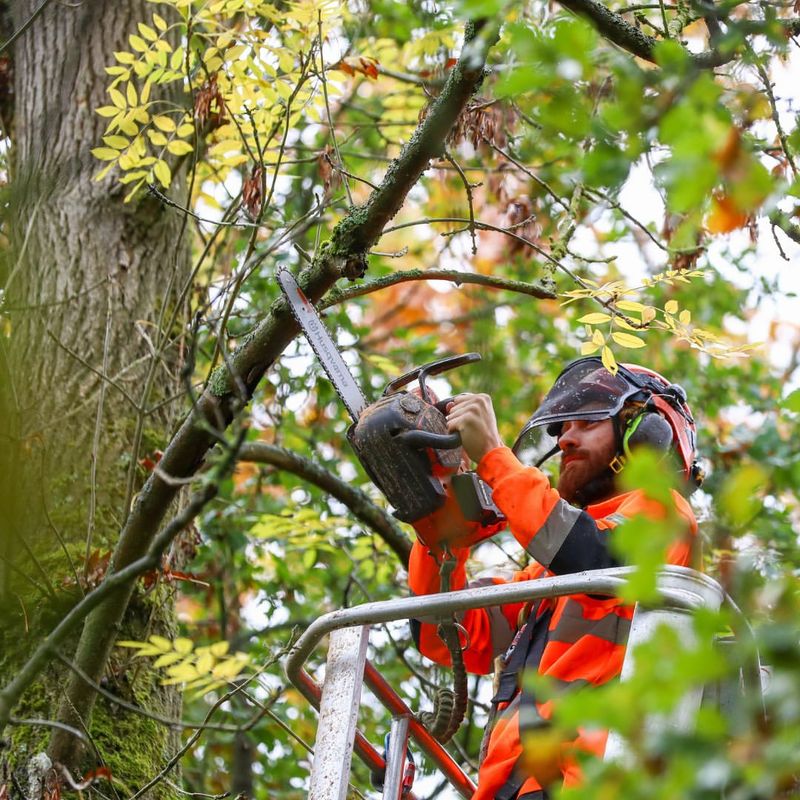 Prevention And Future Protection Strategies