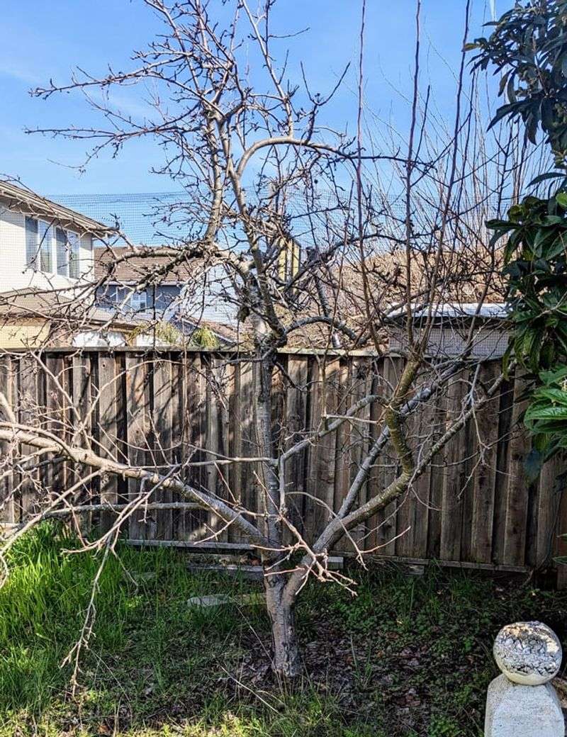 What You Are Allowed To Cut And What You Are Not