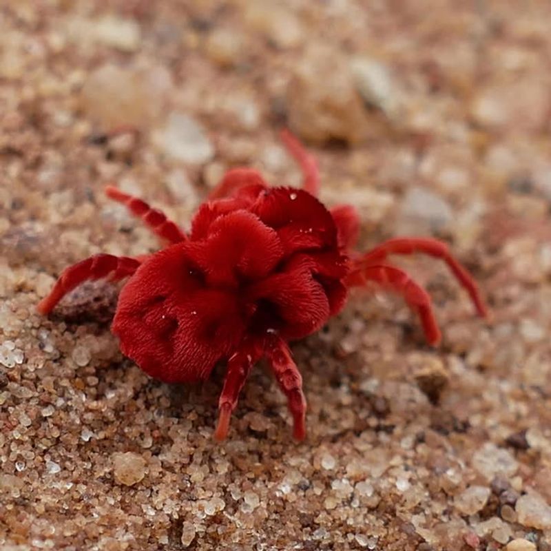 Whether They Are A Real Problem Or Just A Nuisance