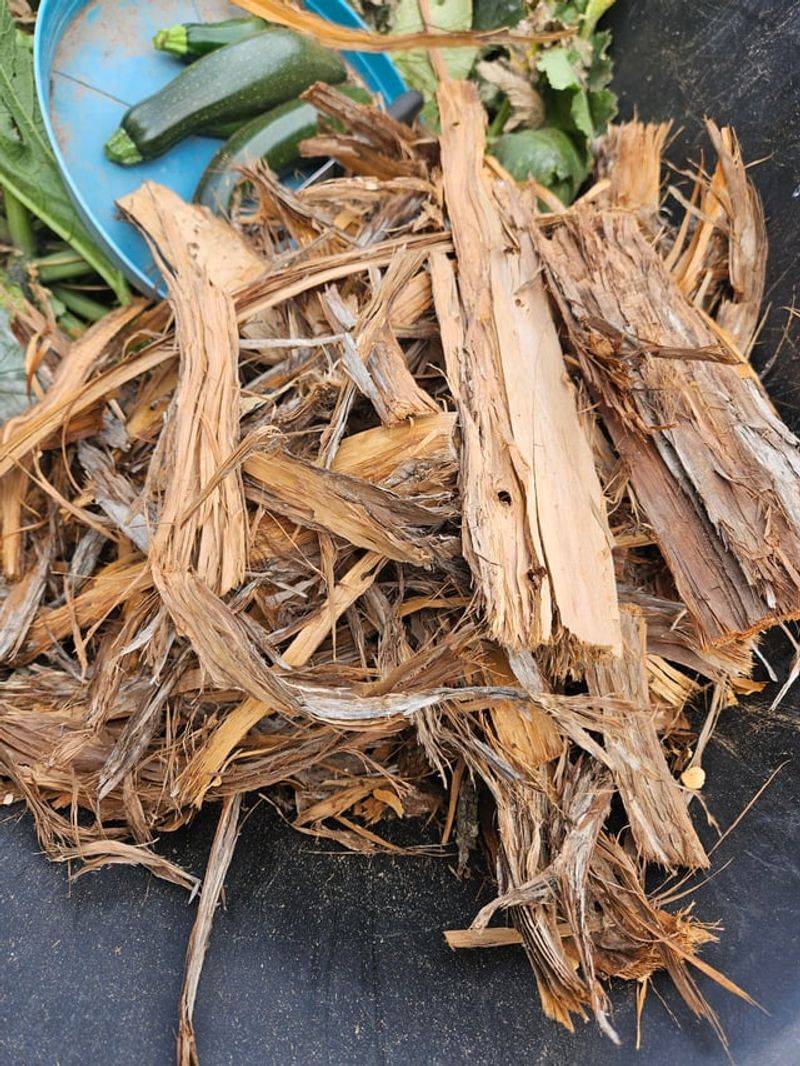 Best Mulch Types To Use For Winter Protection In Ohio