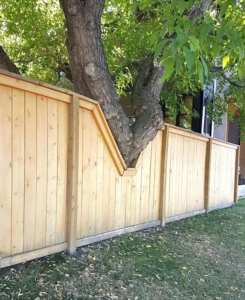 Understanding Michigan's Tree Ownership Laws