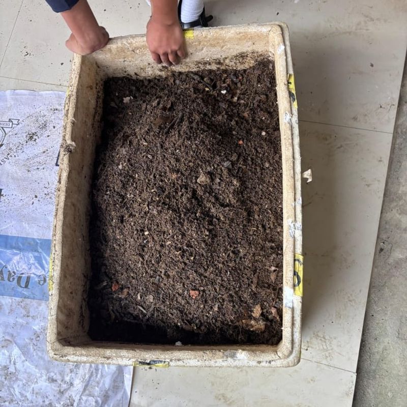 Massachusetts Health Codes Apply To Composting