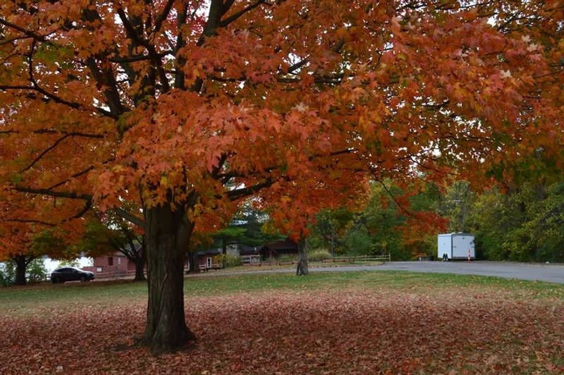 North Carolina Follows The Self-Help Rule