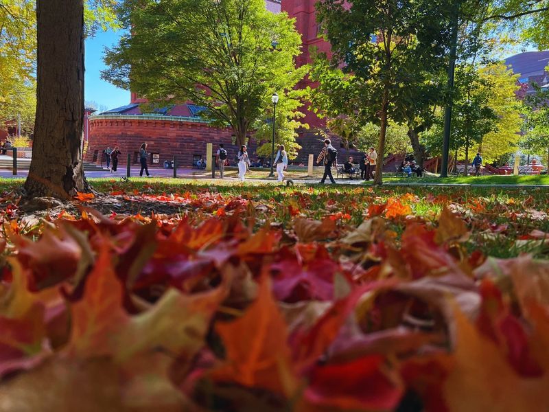 Pennsylvania Follows The 